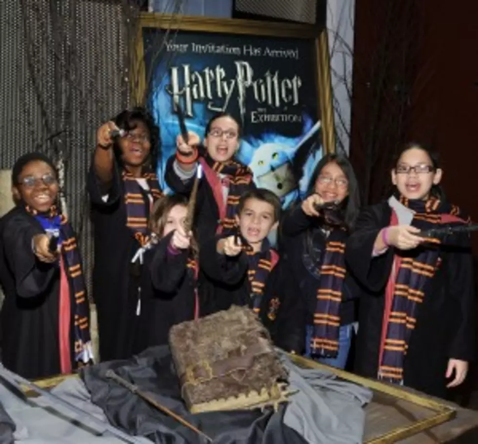 Harry Potter Kemp Center House Party