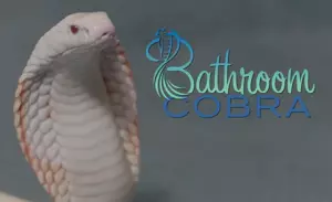 Bathroom Cobra Bathroom Cobra