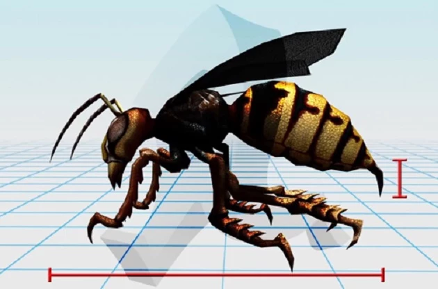 Giant Hornets Giant Hornets