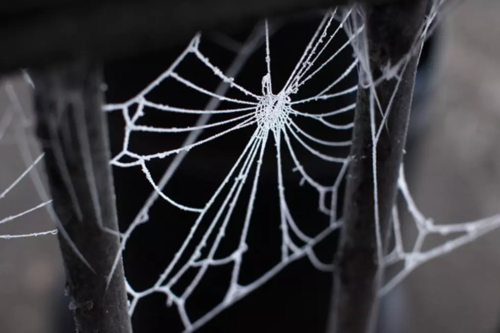Man Tries Killing Spiders with Blowtorch – Sets House on Fire